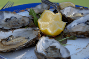 oesters catering